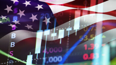 The U.S. Stock Market